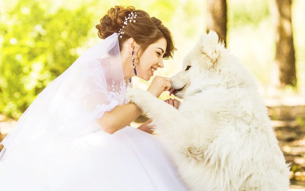 a woman in a wedding dress petting a white dog